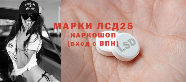 стаф Баксан